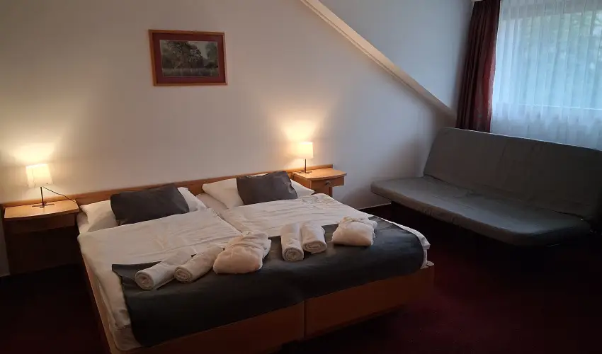 Thermal Hotel Tengelic Tengelic - Kar�csony