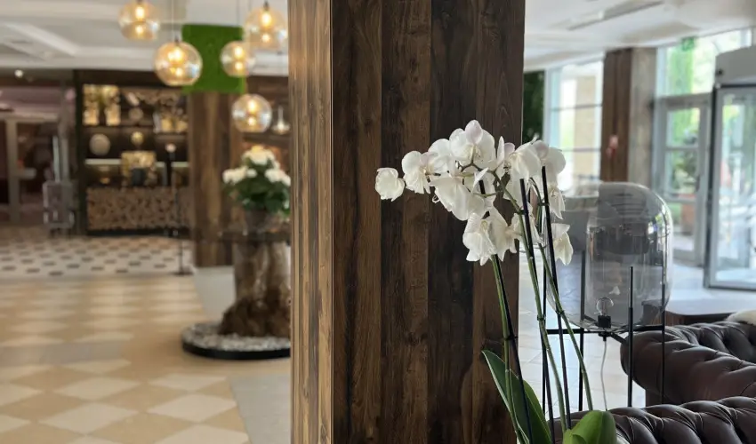 Thermal Hotel Visegrd Visegrd - Karcsony - teljes elrefizetssel (min. 2 j)