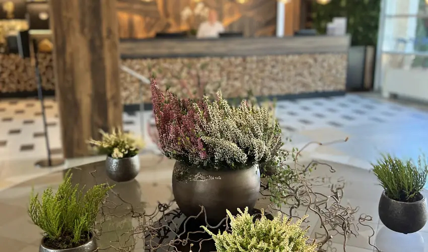 Thermal Hotel Visegrd Visegrd - Karcsony - teljes elrefizetssel (min. 2 j)