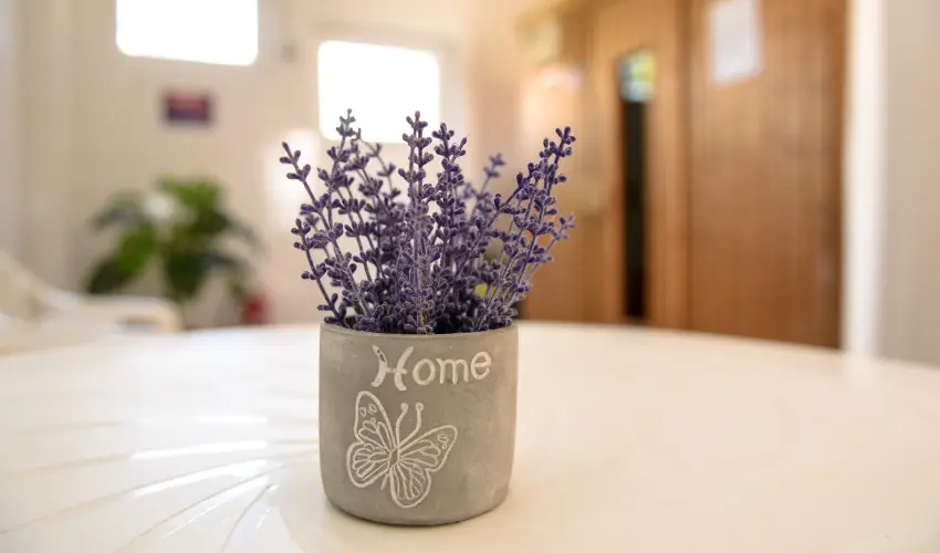 Thermal Panzi Igal Igal - Karcsony