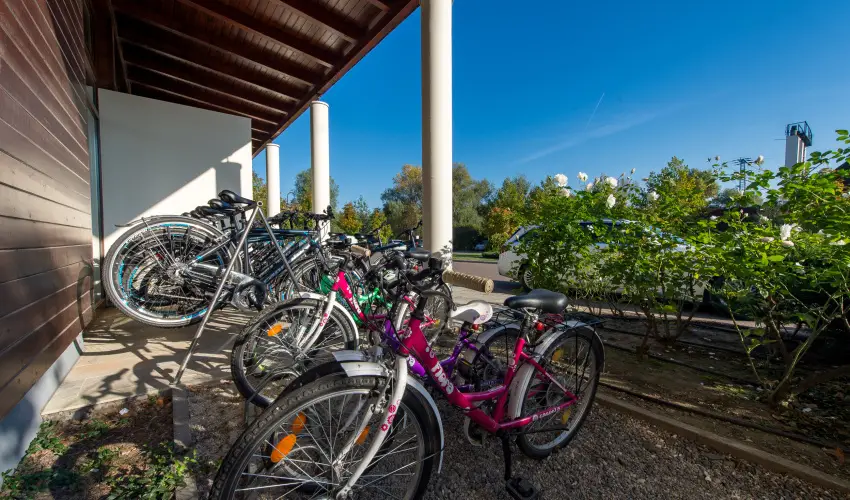 Tisza Balneum Hotel Tiszafred - Karcsonyi ajnlat (min. 3 j)