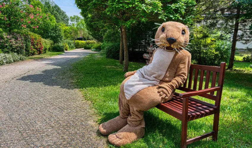 Tisza Balneum Hotel Tiszafred - Karcsonyi ajnlat (min. 3 j)