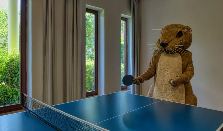 Tisza Balneum Hotel Tiszafred - Karcsonyi ajnlat (min. 3 j)