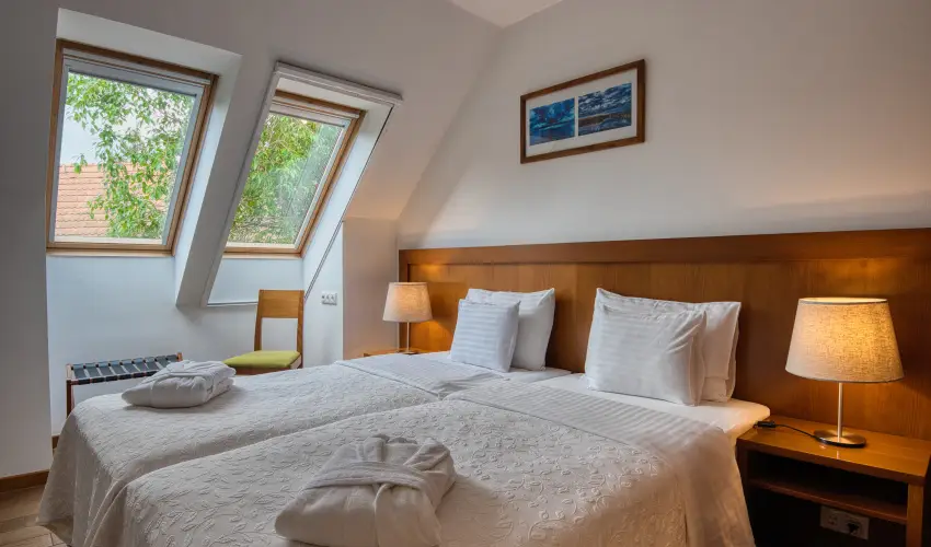 Tisza Balneum Hotel Tiszafred - Karcsonyi ajnlat (min. 3 j)