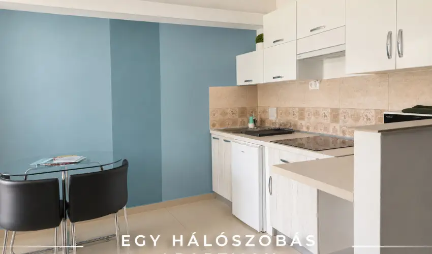 Tisza Gy�ngye Apartmanok Szeged - Kar�csony