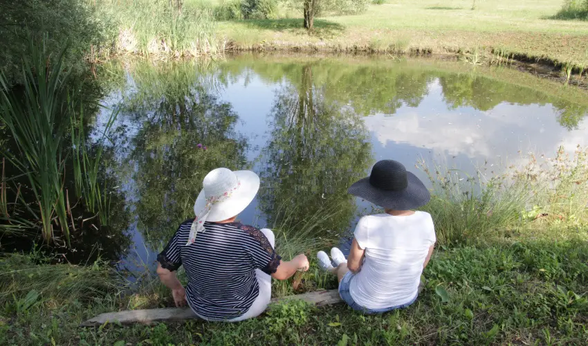 T Wellness Hotel Bnk - Karcsony