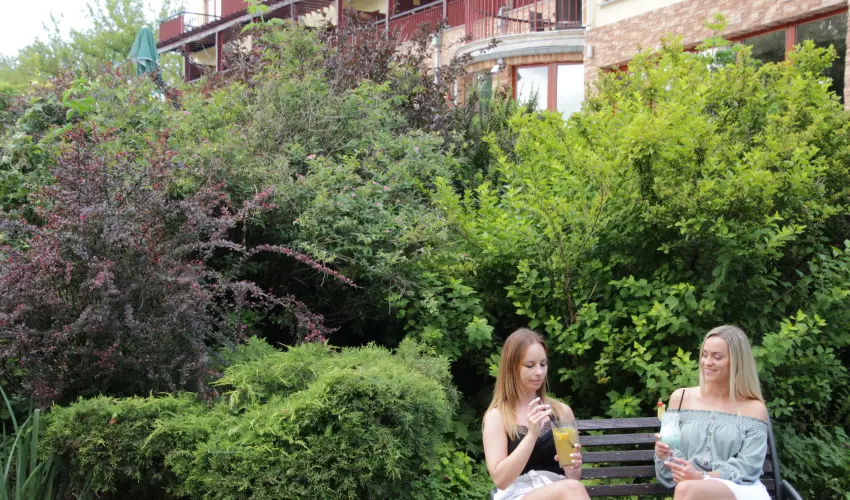 T Wellness Hotel Bnk - Karcsony