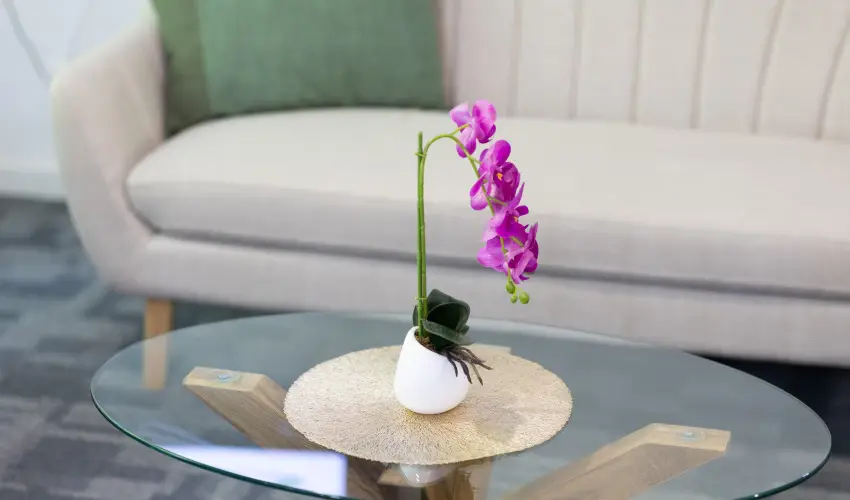 TOK Zam�rdi Zam�rdi - Var�zslatos Kar�csony (min. 2 �j)