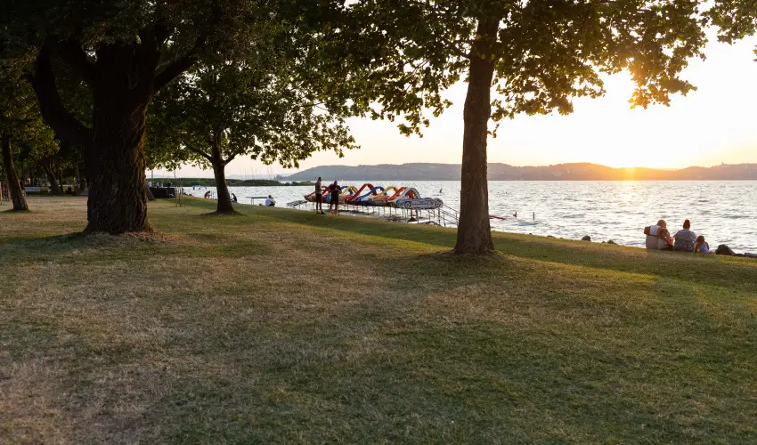 TOK Zam�rdi Zam�rdi - Var�zslatos Kar�csony (min. 2 �j)