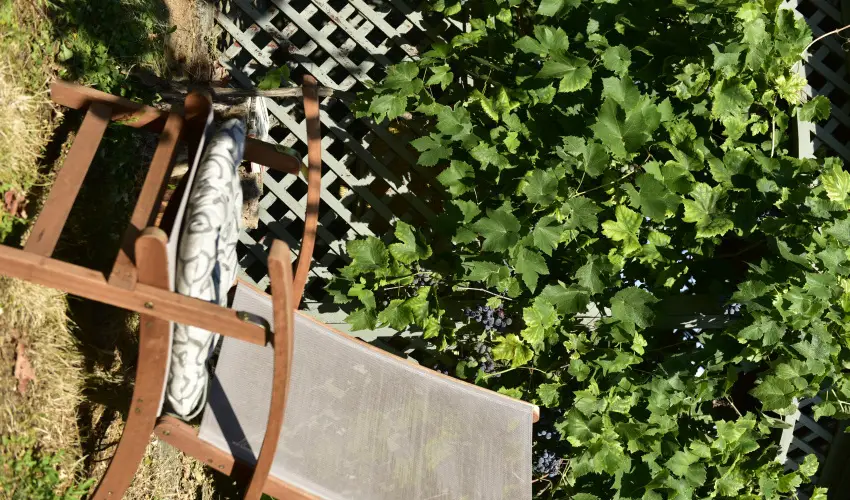 Torncos Vendghz Krshegy - Karcsony (min. 3 j)