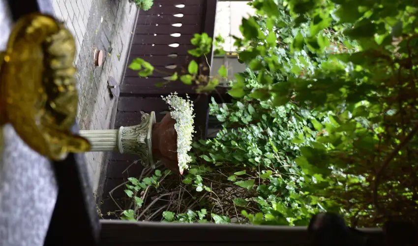 Torncos Vendghz Krshegy - Karcsony (min. 3 j)