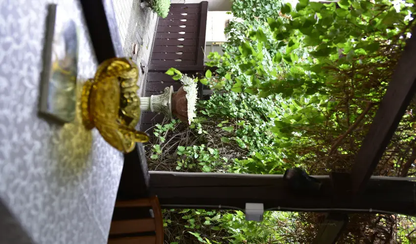 Torncos Vendghz Krshegy - Karcsony (min. 3 j)