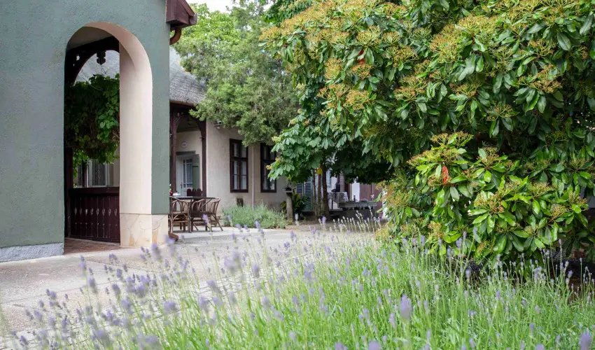 Torncos Vendghz Krshegy - Karcsony (min. 3 j)