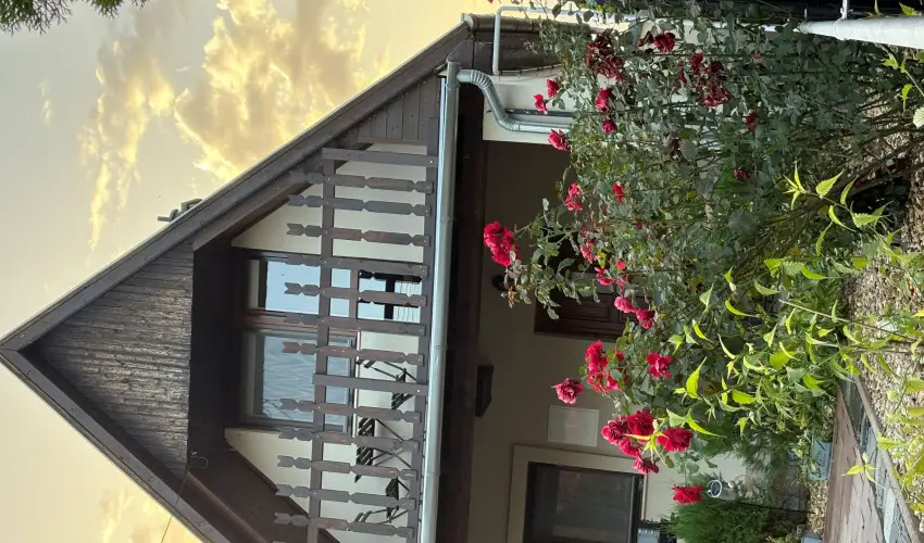 T�csi lak Szigetszentm�rton - Kar�csony (min. 2 �j)