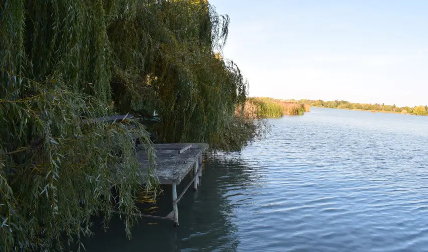 T�csi lak Szigetszentm�rton - Kar�csony (min. 2 �j)