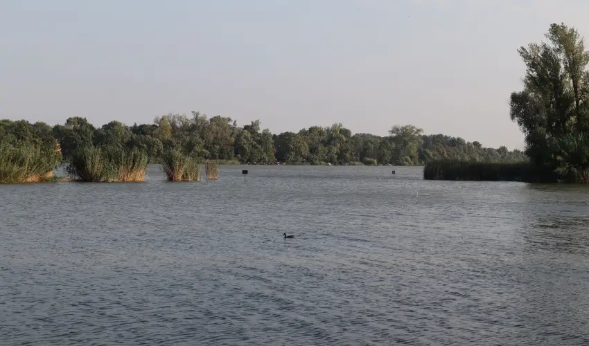 T�csi lak Szigetszentm�rton - Kar�csony (min. 2 �j)