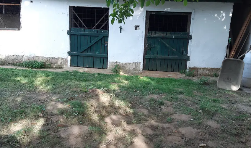 Tulip�nos Vend�gh�z �r - Kar�csony