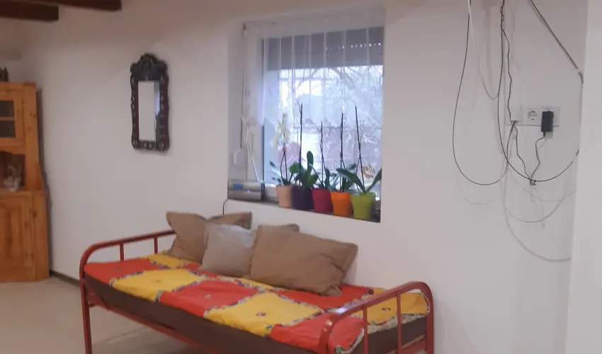 Tulip�nos Vend�gh�z �r - Kar�csony