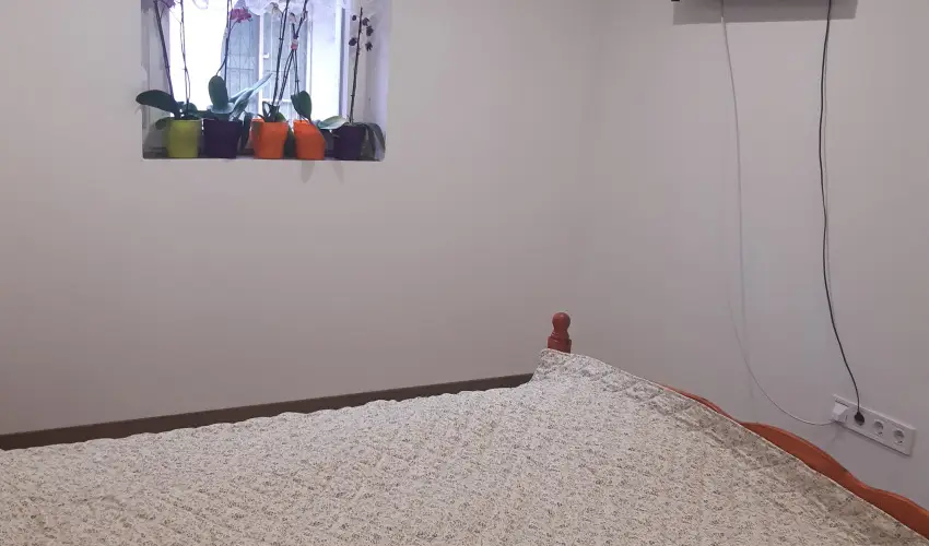 Tulip�nos Vend�gh�z �r - Kar�csony