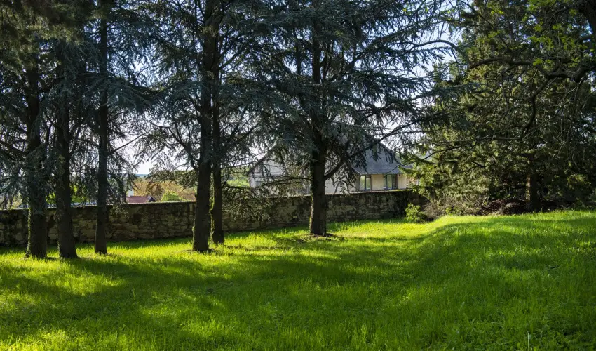 T�nd�rkert Hotel Noszvaj - Kar�csony
