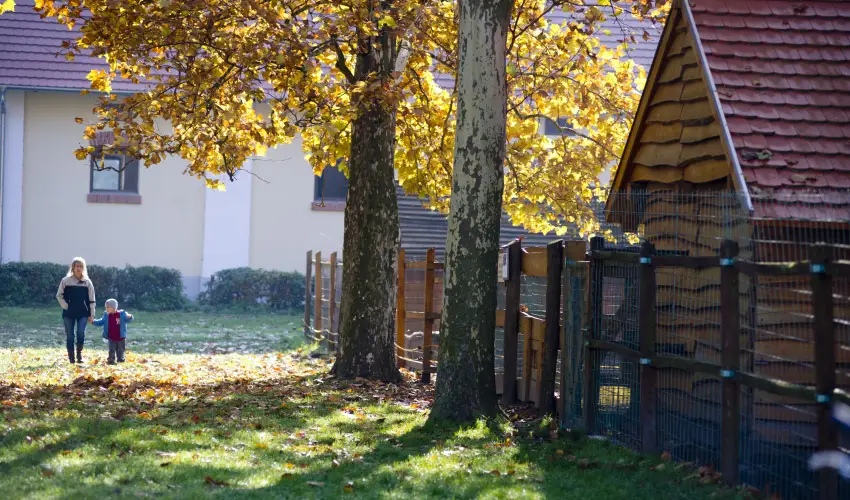 Vadkert Major Srvr - Karcsony (min. 2 j)