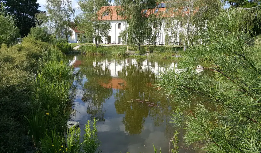 Vadkert Major Srvr - Karcsony (min. 2 j)