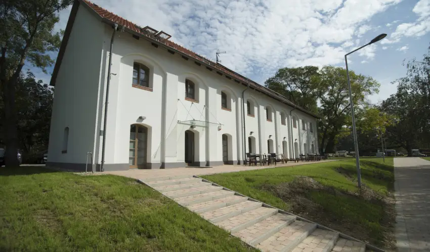 Vadkert Major Srvr - Karcsony (min. 2 j)