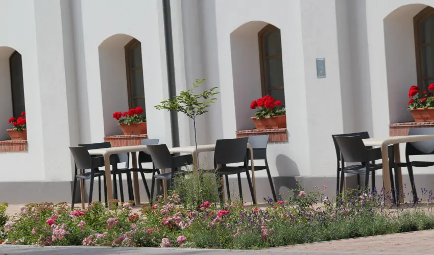 Vadkert Major Srvr - Karcsony (min. 2 j)