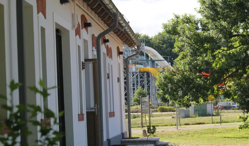 Vadkert Major Srvr - Karcsony (min. 2 j)