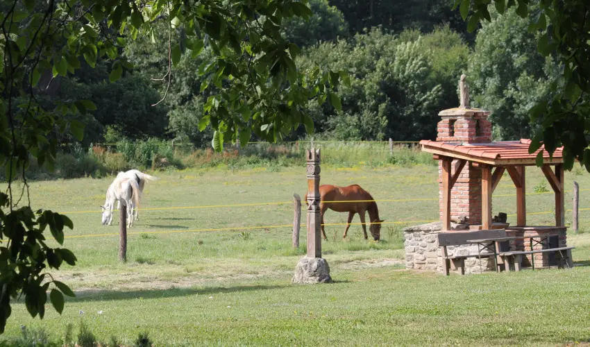 Vadkert Major Srvr - Karcsony (min. 2 j)