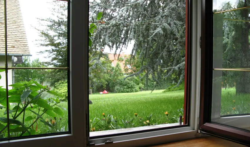 Vadr�zsa Vend�gh�z Szentendre - Kar�csony (min. 2 �j)