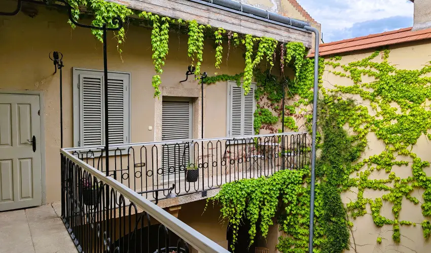 Vrosi Vendghz Szentendre Szentendre - Karcsony