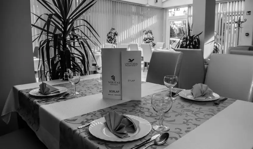 Wellness Hotel Vikt�ria Nagyat�d - Kar�csonyi l�zban (min. 2 �j)