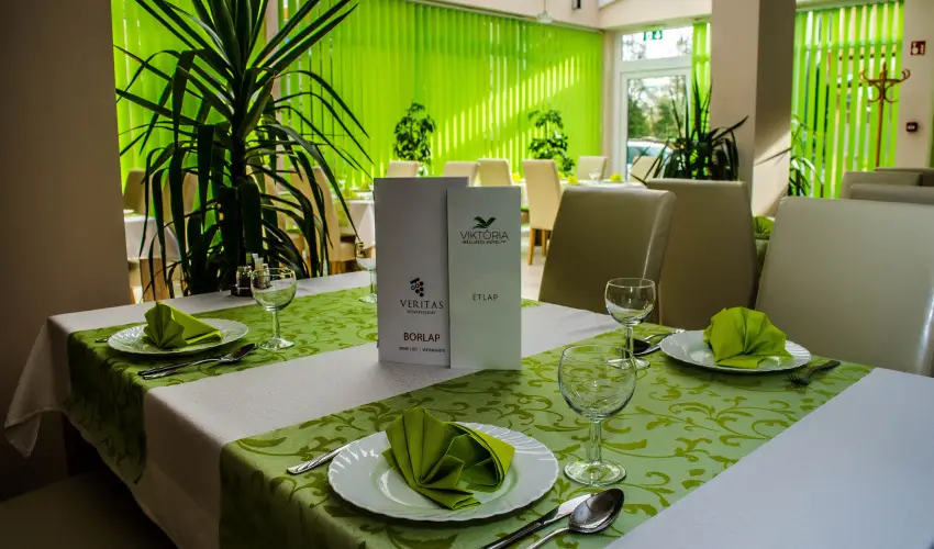 Wellness Hotel Viktria Nagyatd - Karcsonyi lzban (min. 2 j)