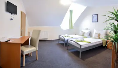 Wellness Hotel Viktria Nagyatd