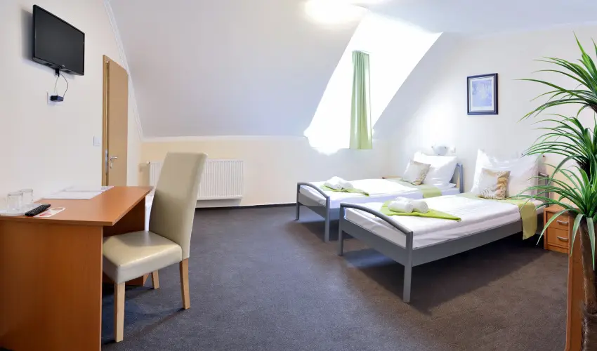 Wellness Hotel Viktria Nagyatd - Karcsonyi lzban (min. 2 j)