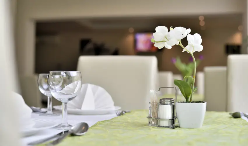 Wellness Hotel Viktria Nagyatd - Karcsonyi lzban (min. 2 j)