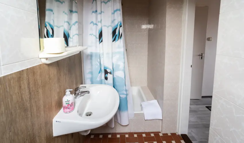 Villa Lotus Zalakaros Zalakaros - Karcsony (min. 2 j)