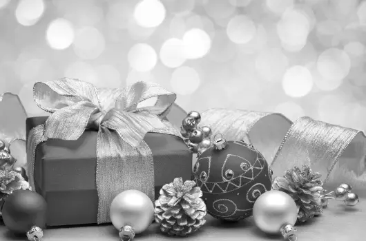 Hotel Villa Park - Kar�csony (min. 2 �j)