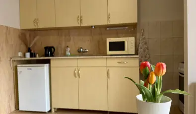 Vintage Apartman Gyula Gyula