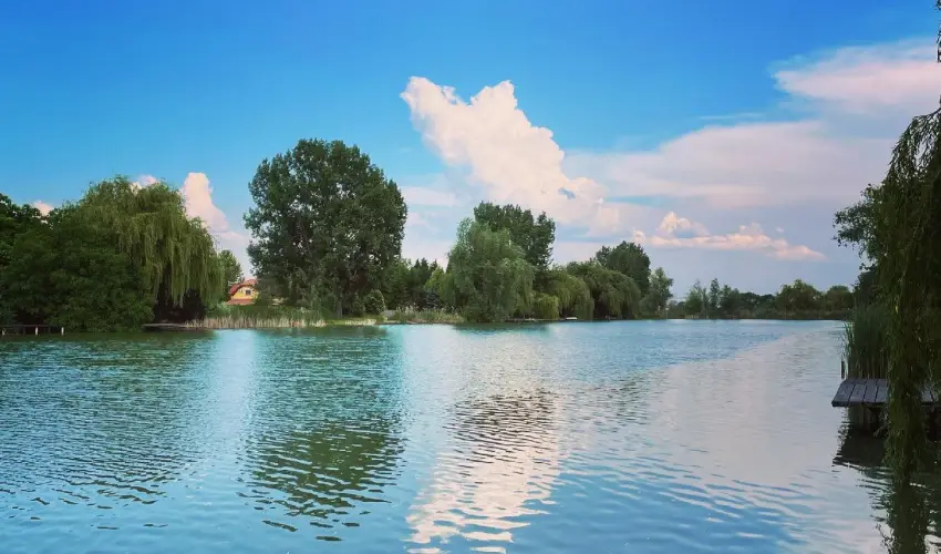 Virg dlhz Szarvas - Karcsony (min. 3 j)