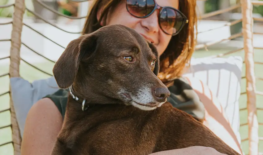 Wabi Hotel Sopron - Kar�csony 