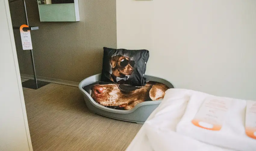 Wabi Hotel Sopron - Kar�csony 