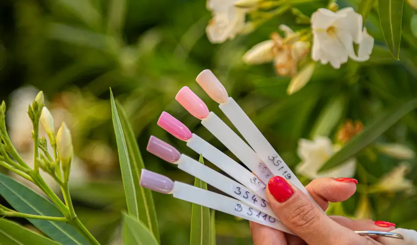 Wabi Hotel Sopron - Kar�csony 