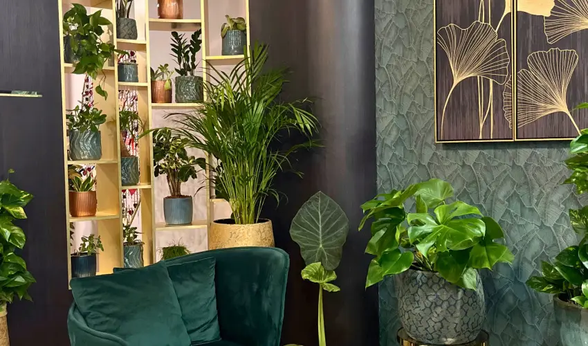 Hotel Wellamarin Zamárdi - Karácsony