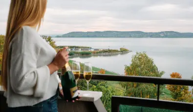 Hotel Wellamarin Zam�rdi