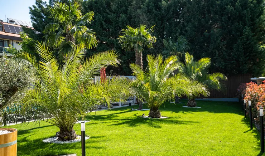 Wellness Hotel Gyula Gyula - Kar�csony (min. 3 �j)