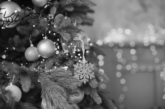 Willis Hotel Business & Wellness - Karcsonyi pihens a Willisben (min. 2 j)