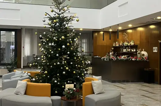 Willis Hotel Business & Wellness - Var�zslatos kar�csonyi pihen�s (min. 3 �j)