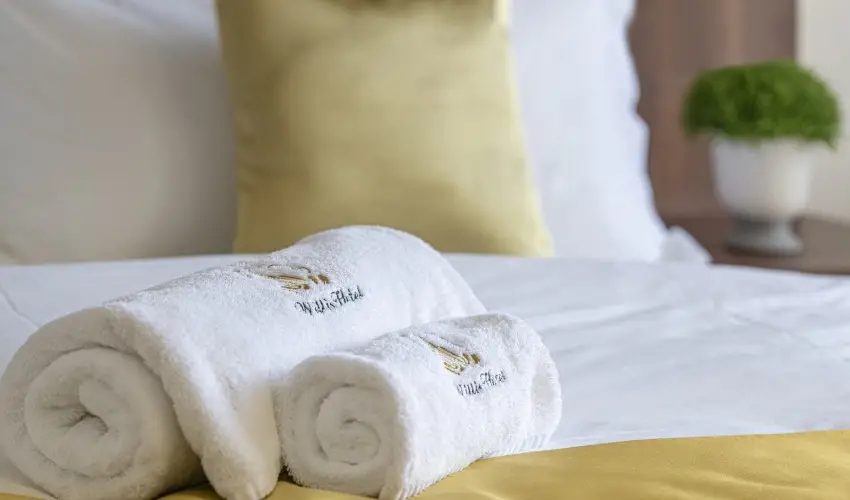 Willis Hotel Business & Wellness Zalaegerszeg - Karcsonyi pihens a Willisben (min. 2 j)